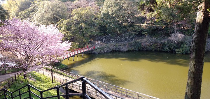 池