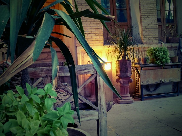 amazing yard