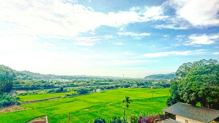 nature