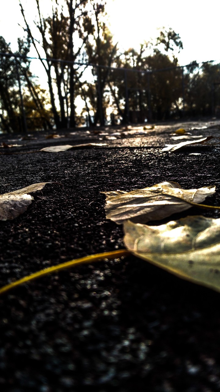 Hot Autumn