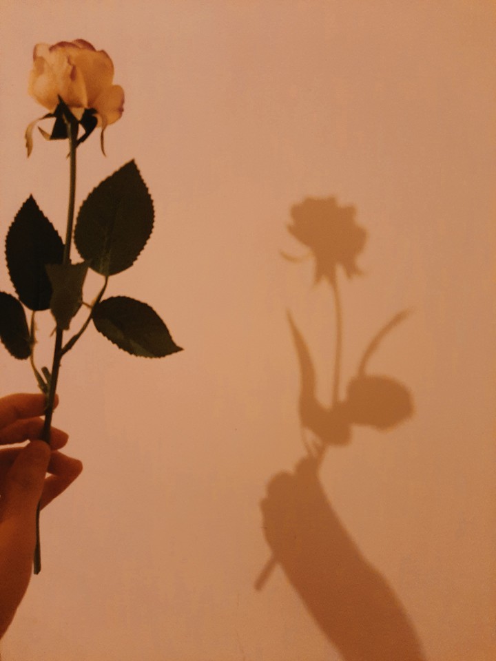 in the shadow
