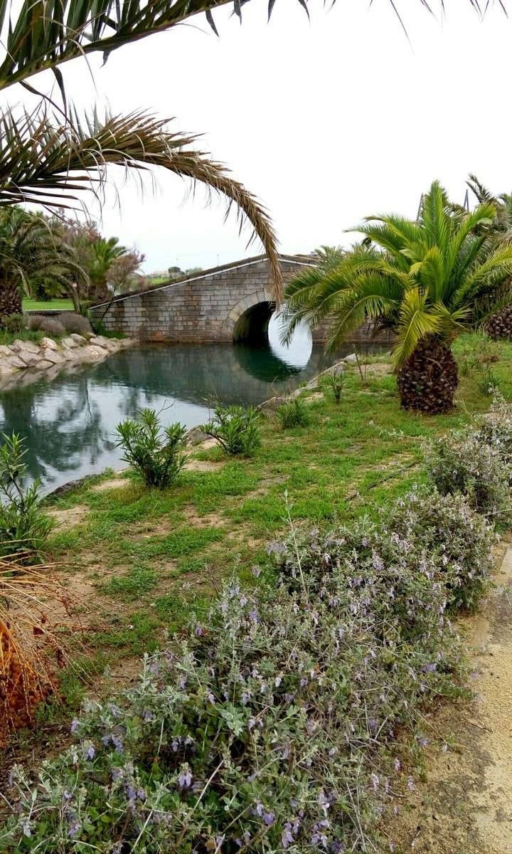 Pont