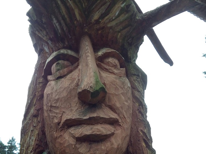 wood female