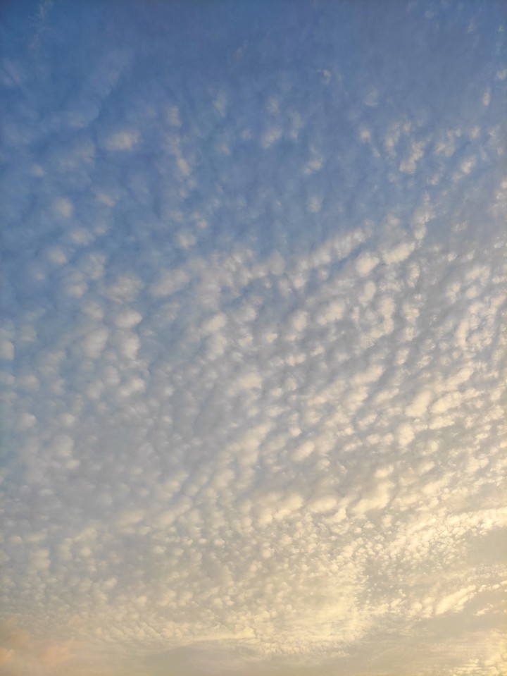 Sunny cloud