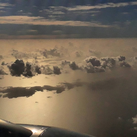 Gold Sea