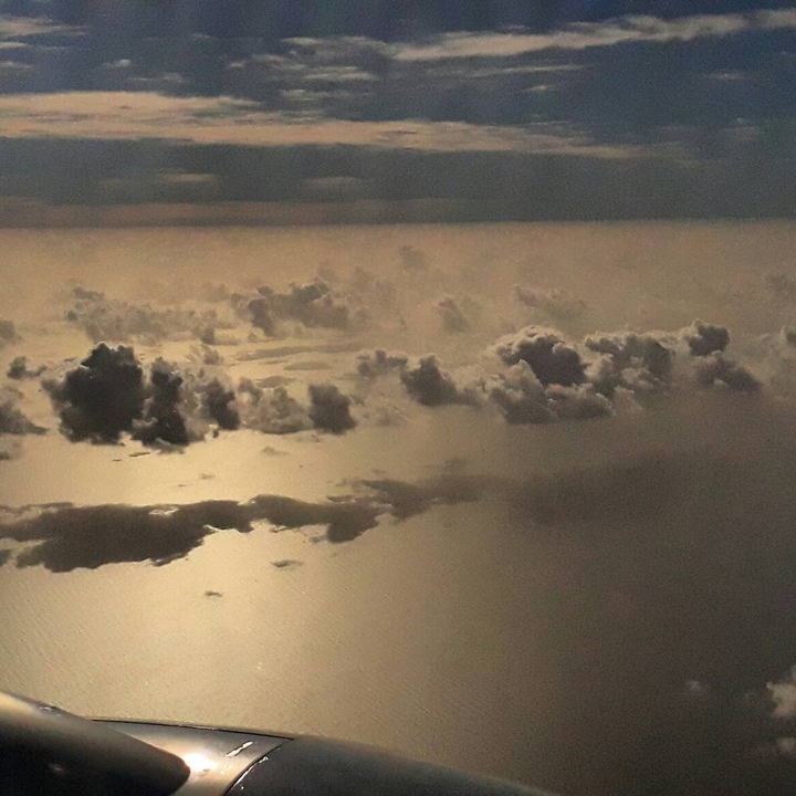 Gold Sea