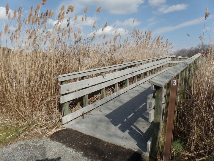 Bridge to a new world