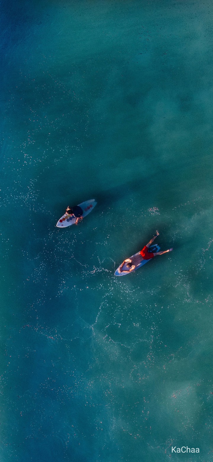surfing