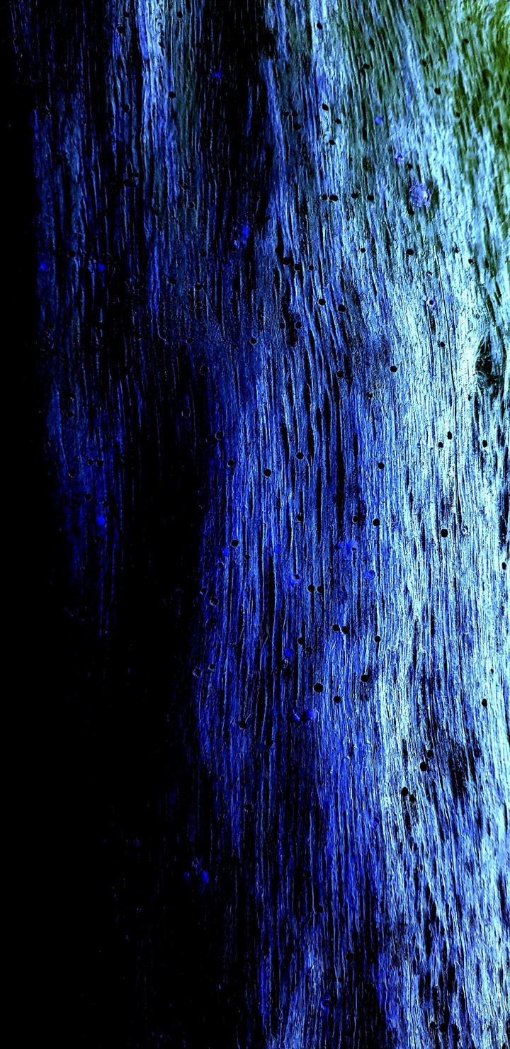 The Blue