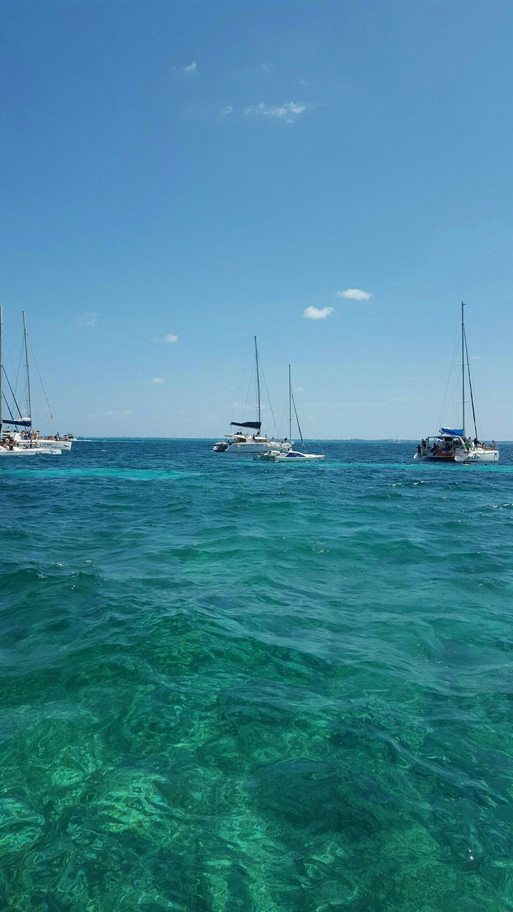 sea