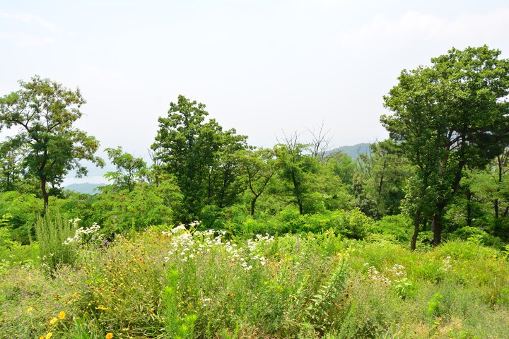 용마산이미지