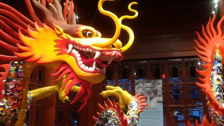 Dragon