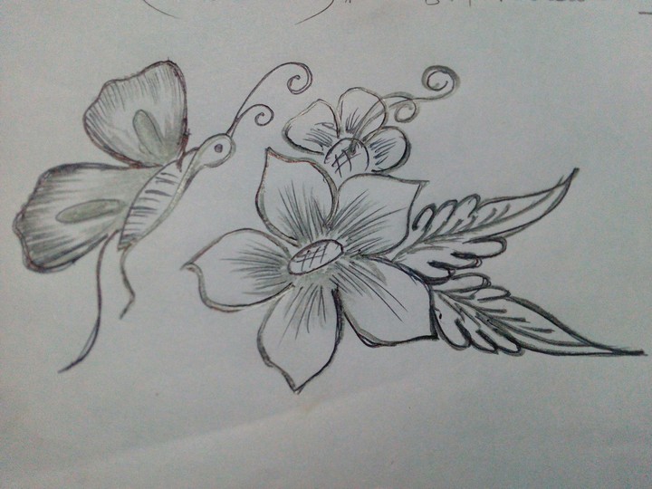 pencil sketch