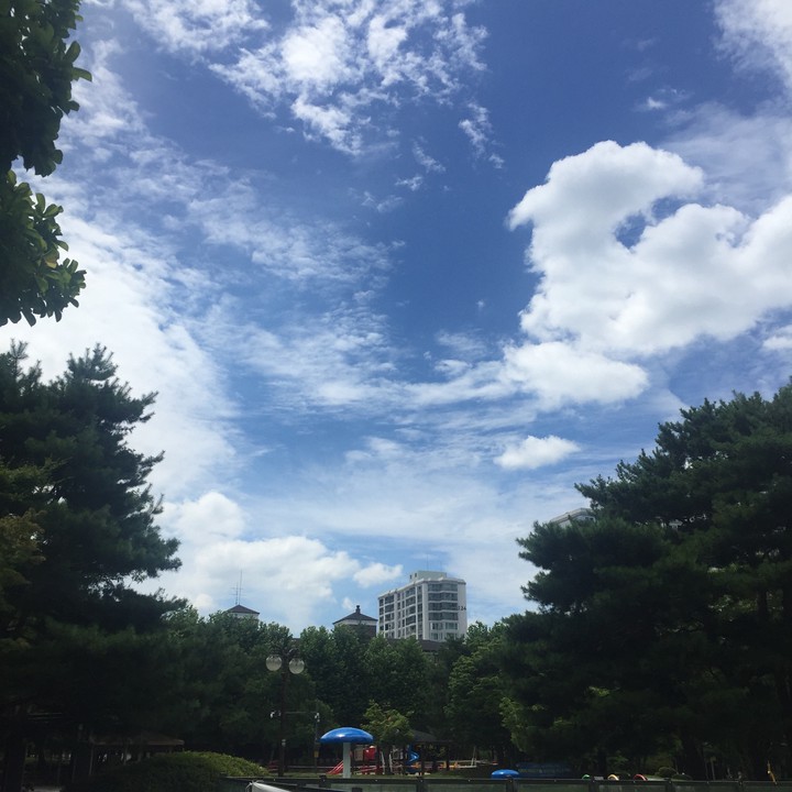 blue 파랑