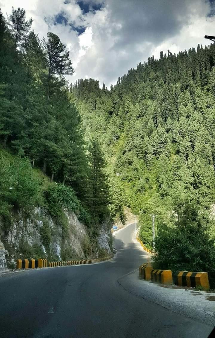 Beauty of Nature