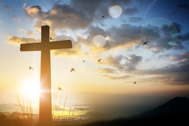 Cross, Cruz