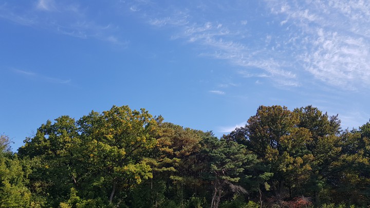 자연의 풍경