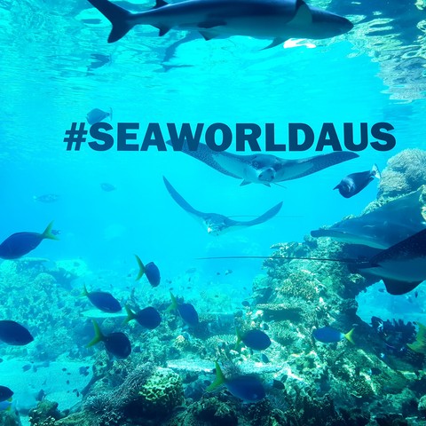 SEAWORLD, GOLD COAST
