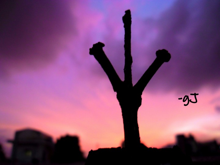 evening timepass