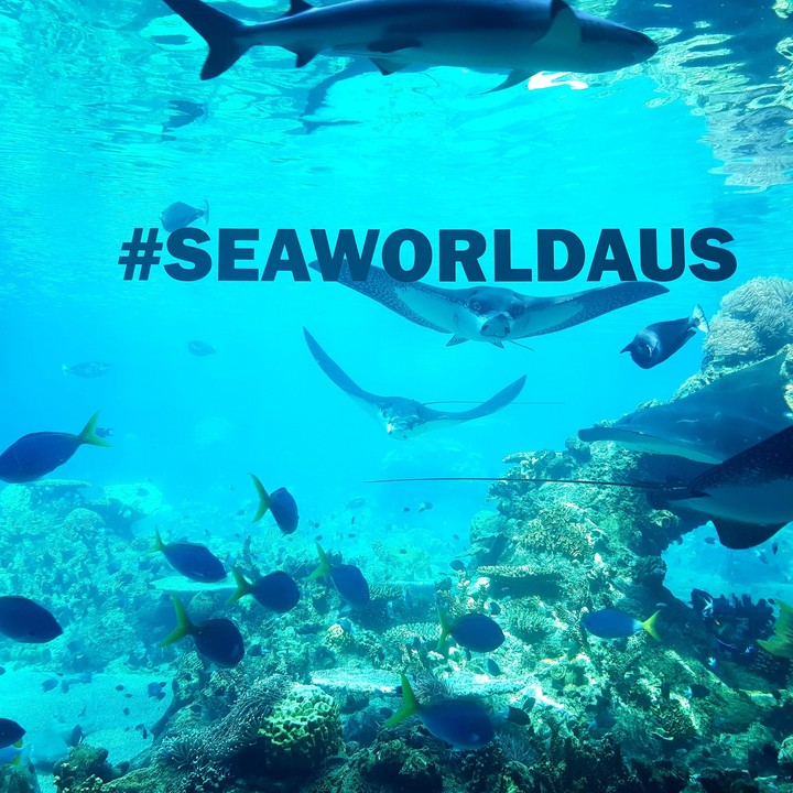 SEAWORLD, GOLD COAST