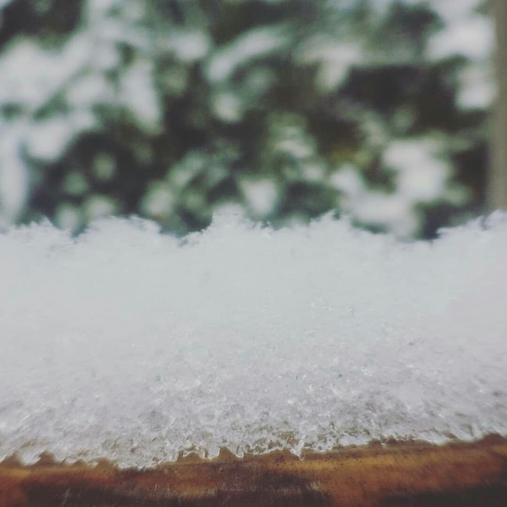 winter