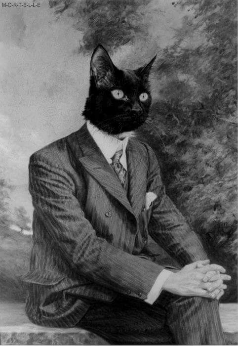 Monsieur Chat de Bernard Septon