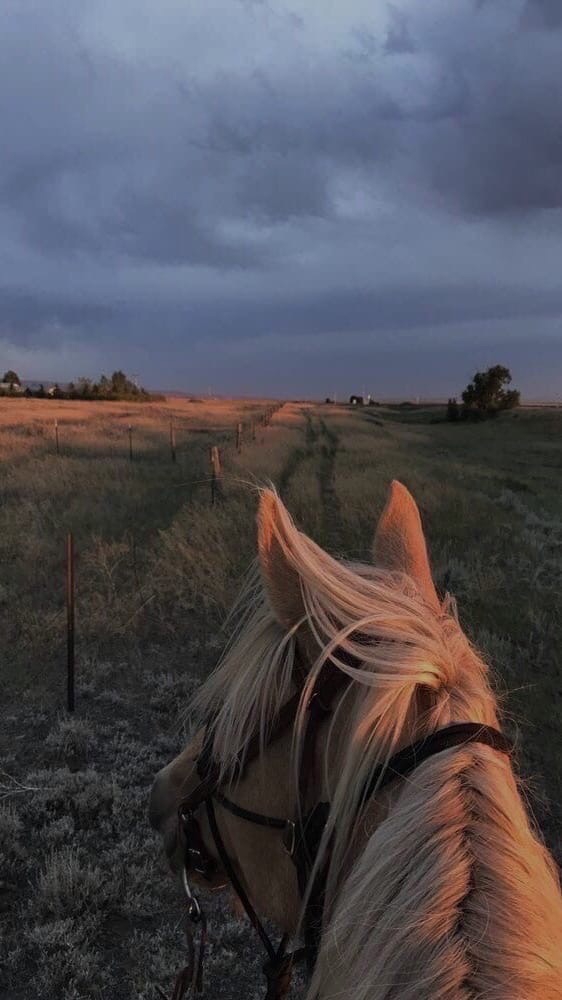 ʜ ᴏ ʀ s ᴇ