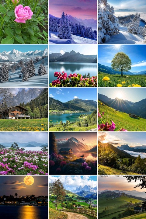 Collage