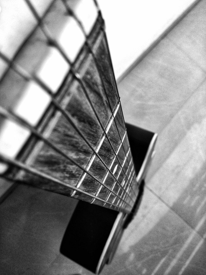 Guitar