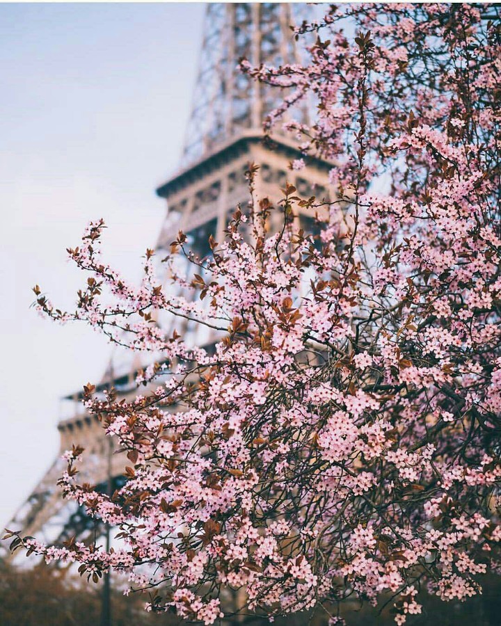 Tour Eiffel