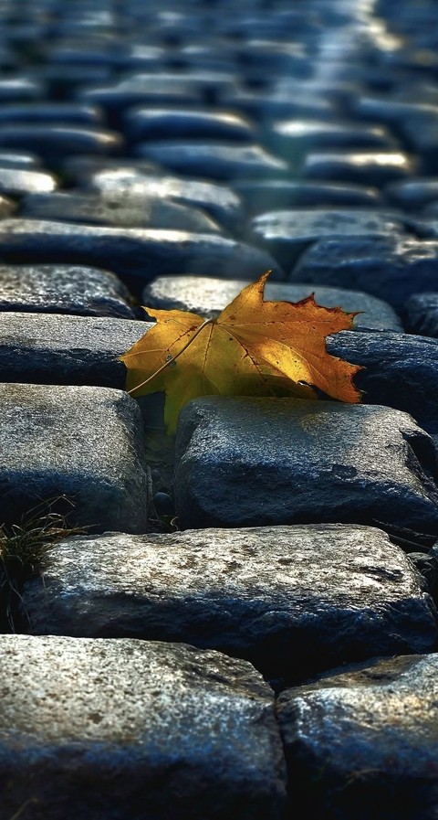 Autumn in the city