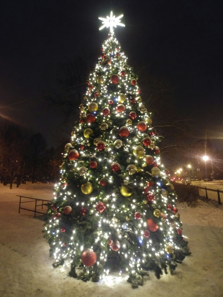 Елочка