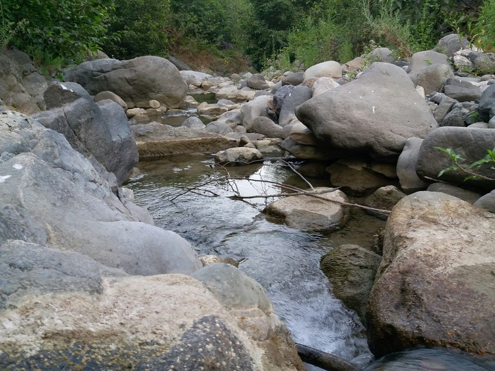 Water