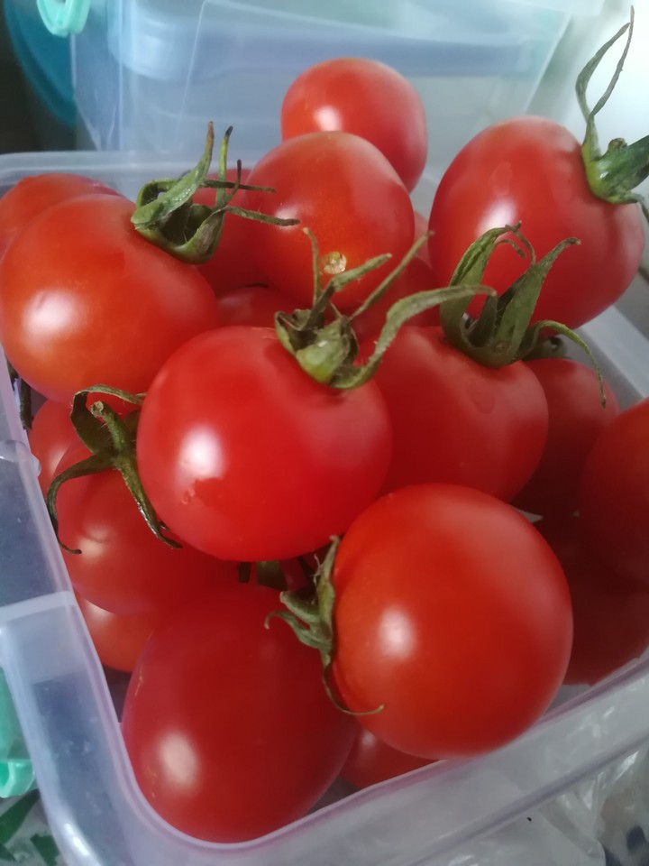 #red #tomatoes