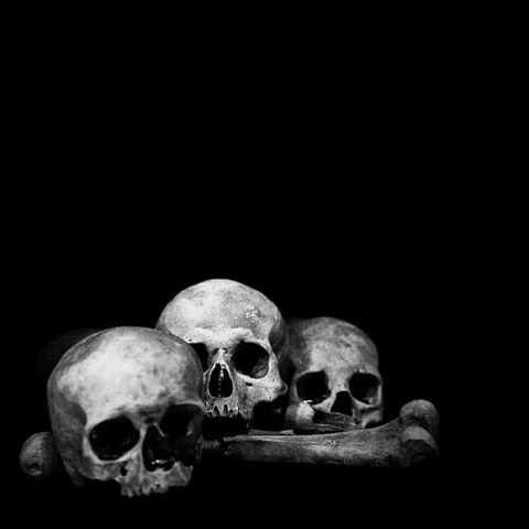 sfondi monochrome, bone