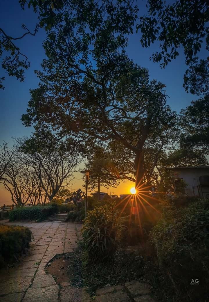 Nature natural