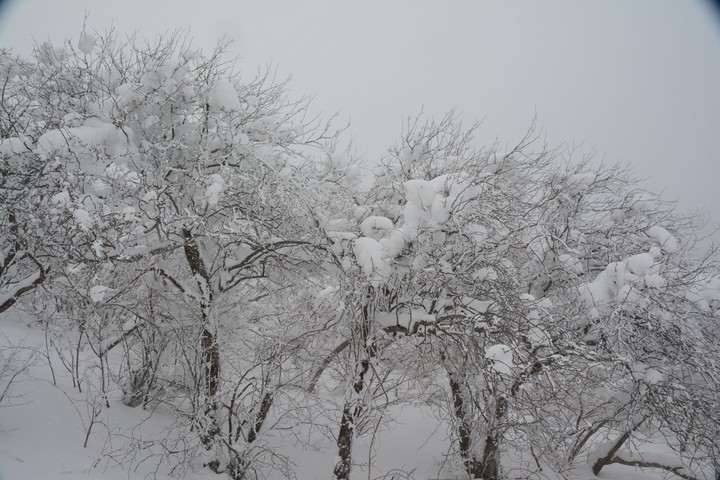 태백산이미지