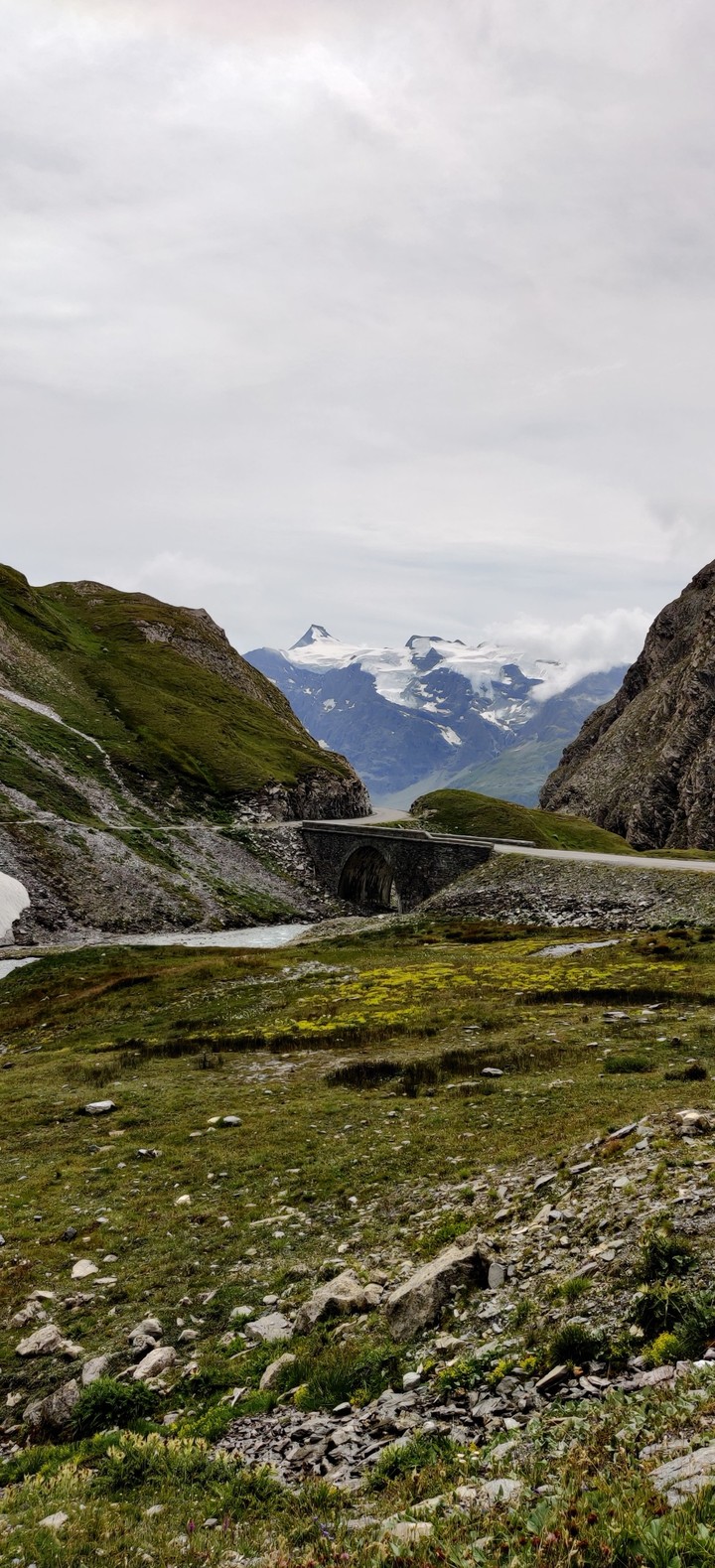 Bridge