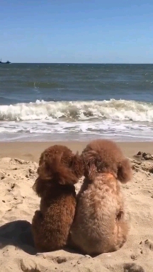 ❤