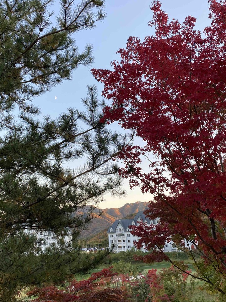 가을