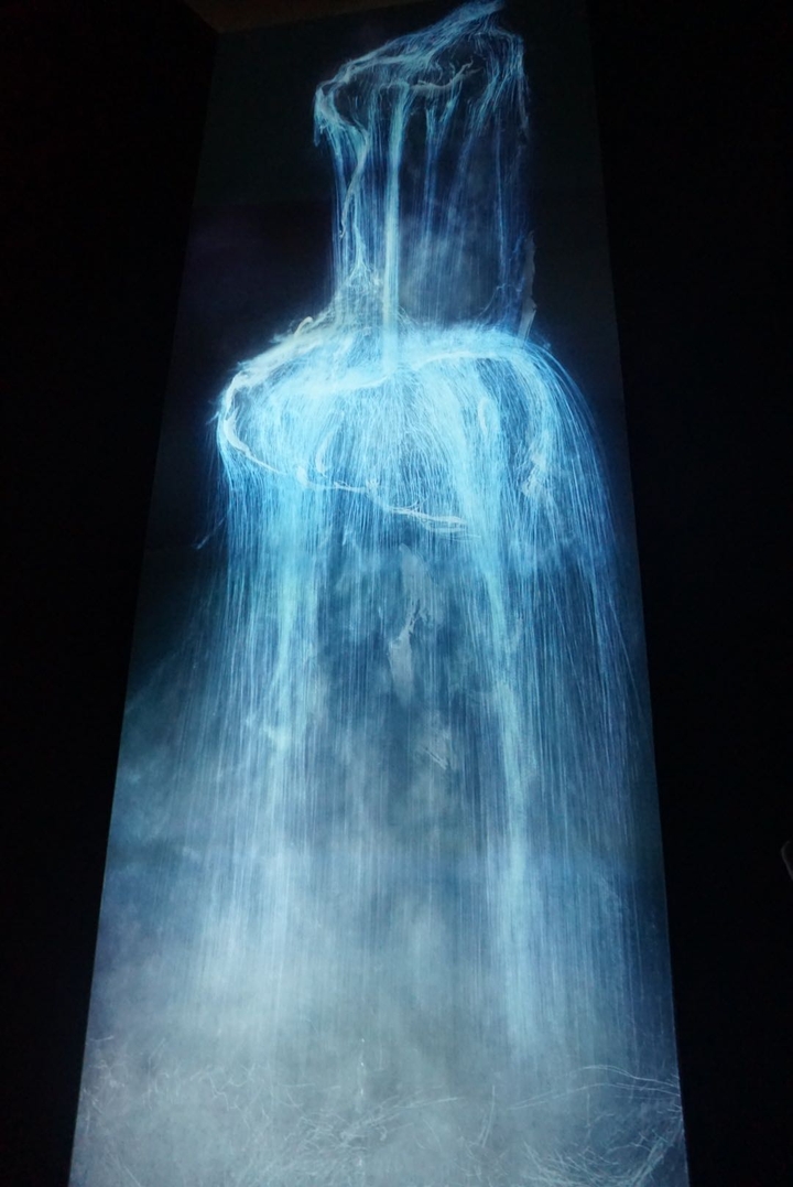 teamlab@shenzhen