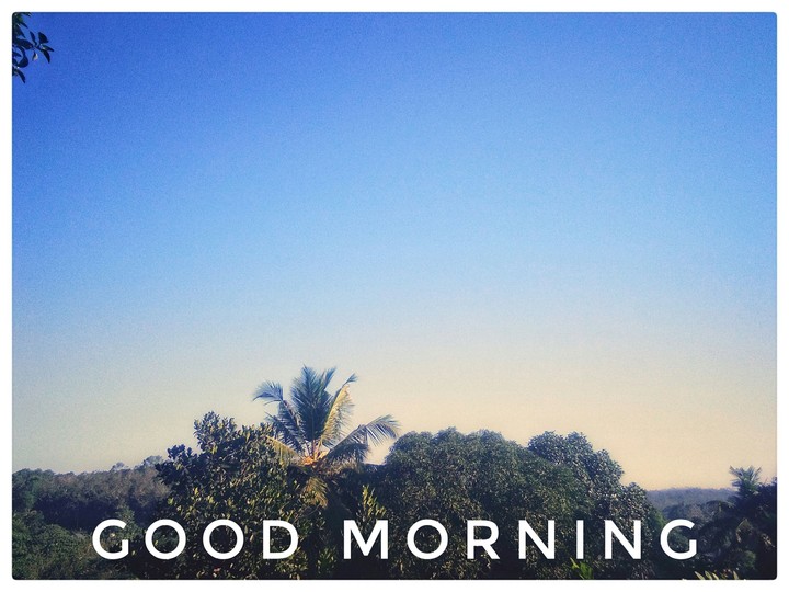 morning rises