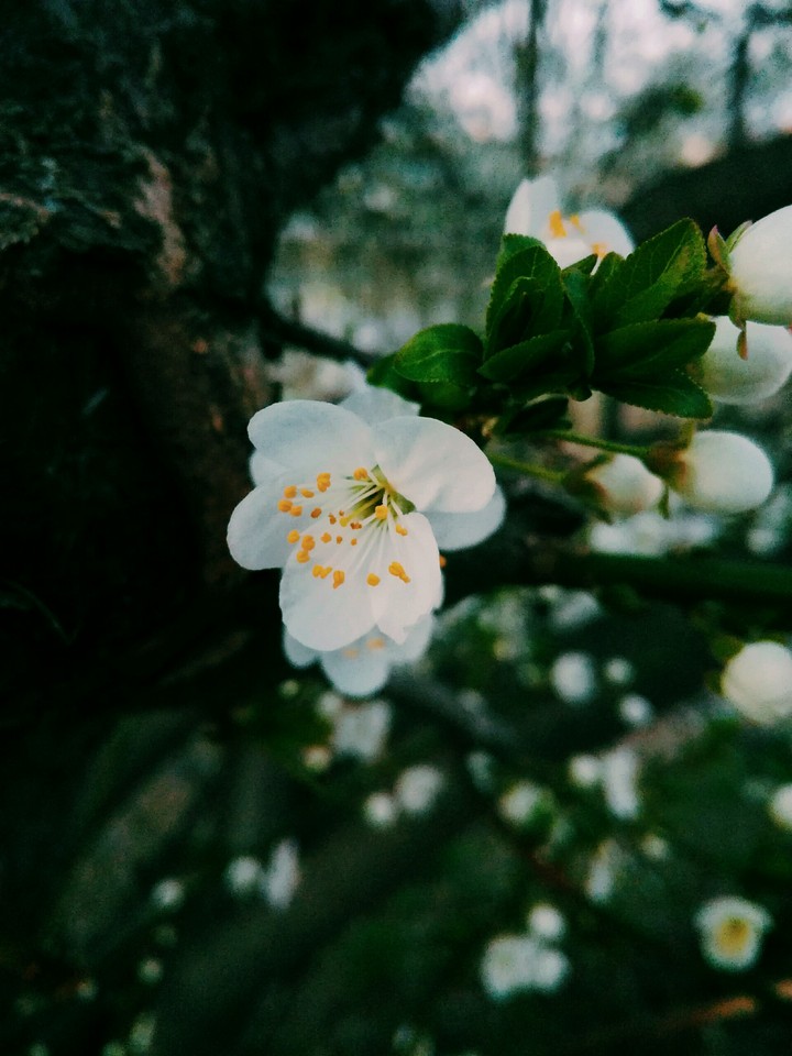 Spring is here!❤