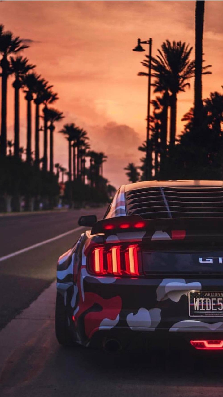Car Lovers