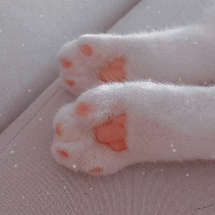 ♡♡♡