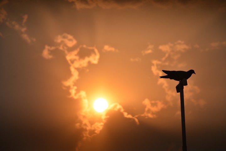 Sunset with something