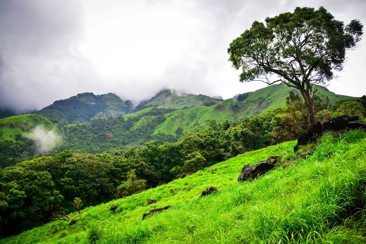 wayanad