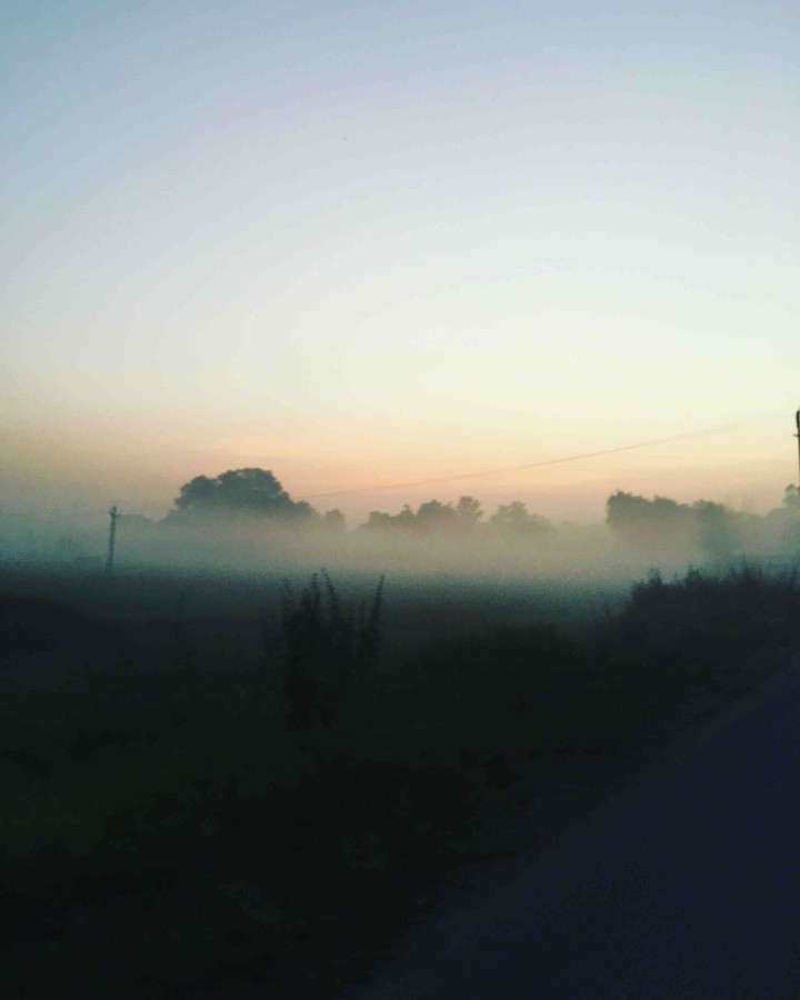 Beautiful morning