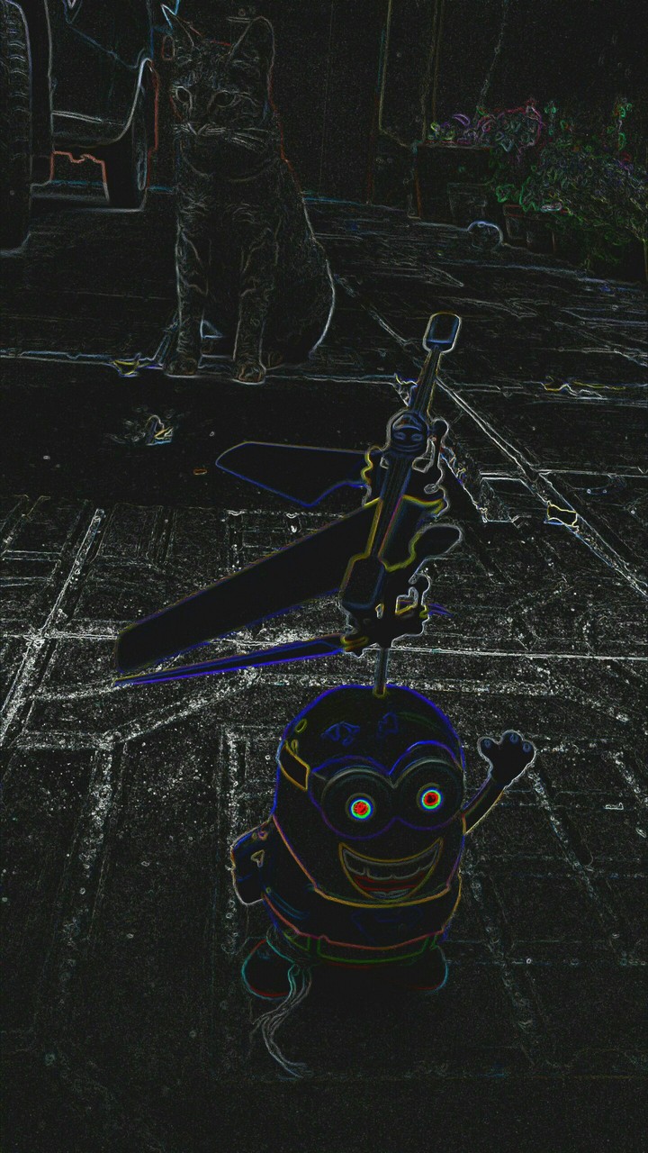 minion and cat