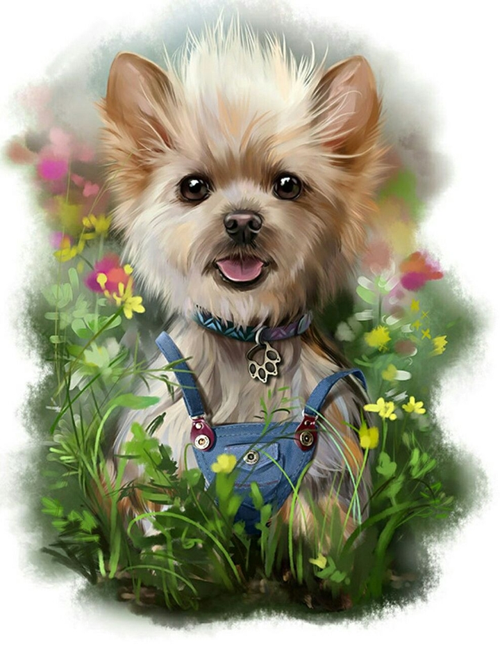 Sweet Dog 